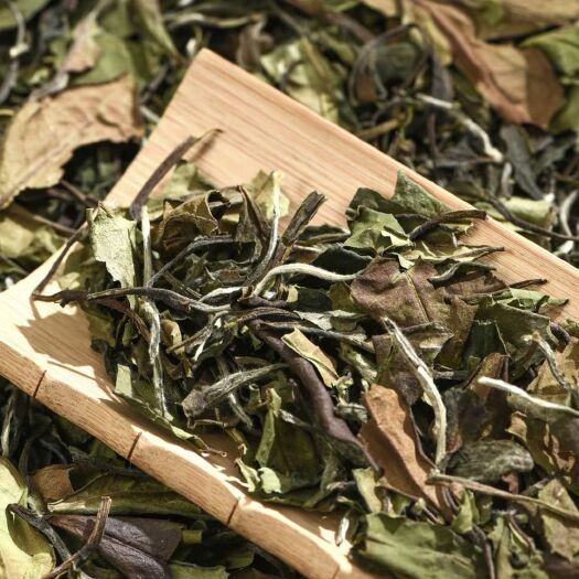 福鼎市白露茶