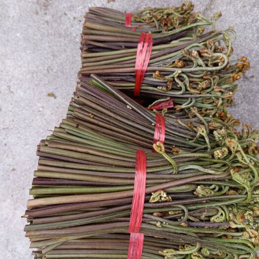 长顺县野生蕨菜，新鲜货，腌制好的，需要老板联系