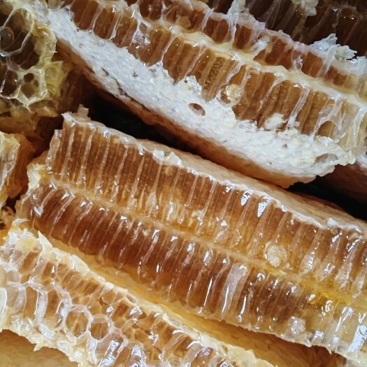 成都农家天然蜂巢，蜜现割现卖，满蜜浓度高，铁皮箱装一件90斤