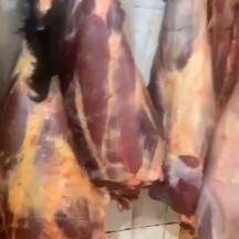 冕宁县高原牦牛肉