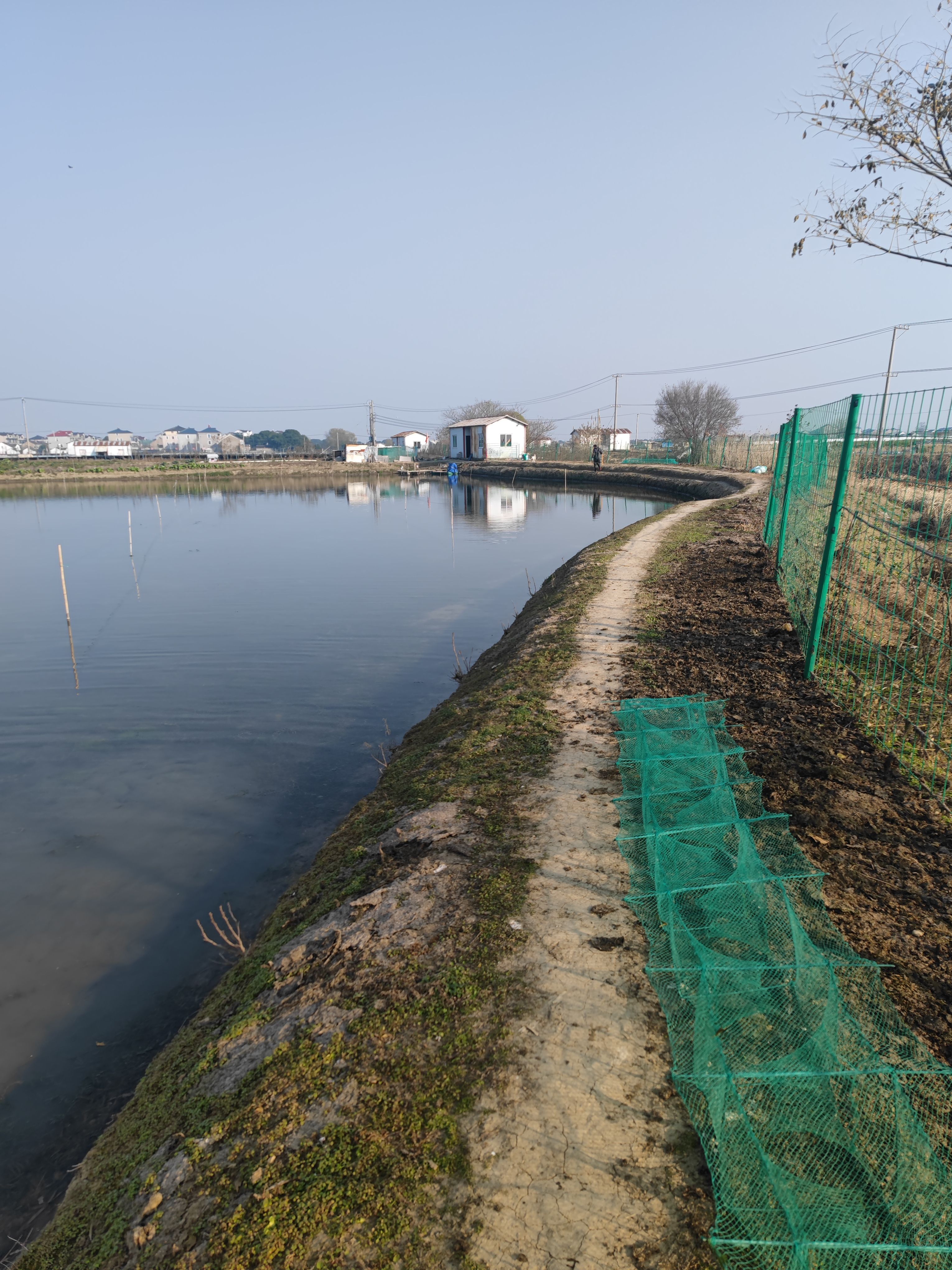 河虾 产地直销 鲜货