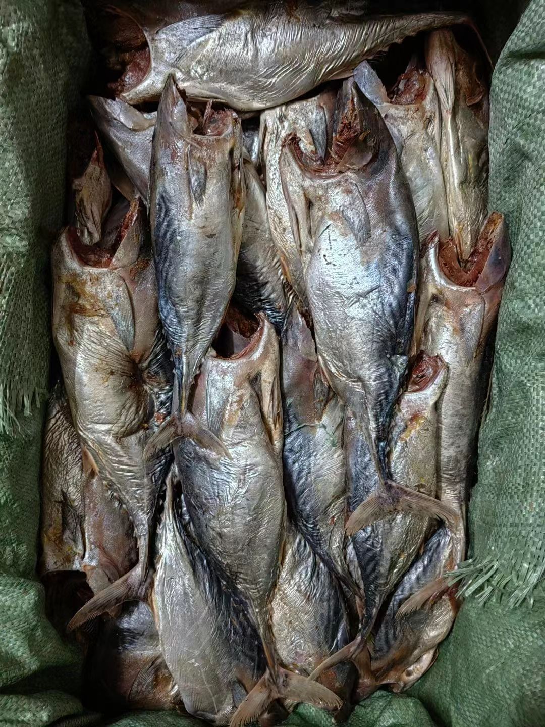 北海去头无内脏梅香味咸鱼红肉鱼海产品