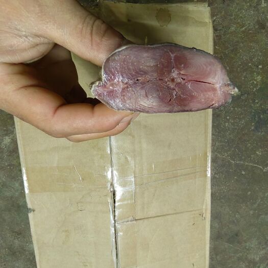 北海去头无内脏梅香味血鱼红肉血鱼海产品
