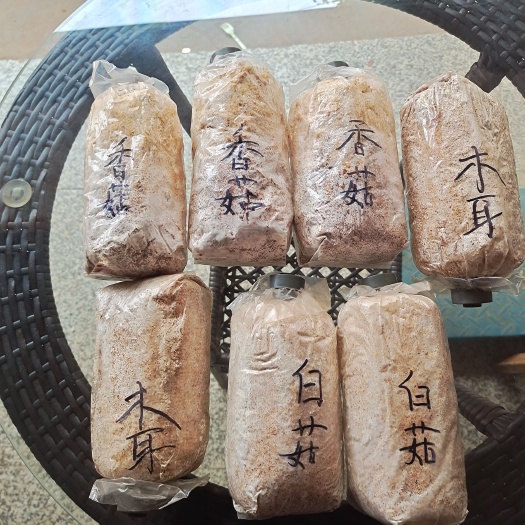 安福县香菇，木耳，白菇菌种出售