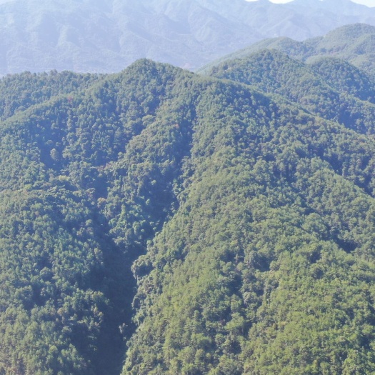 梅州山地