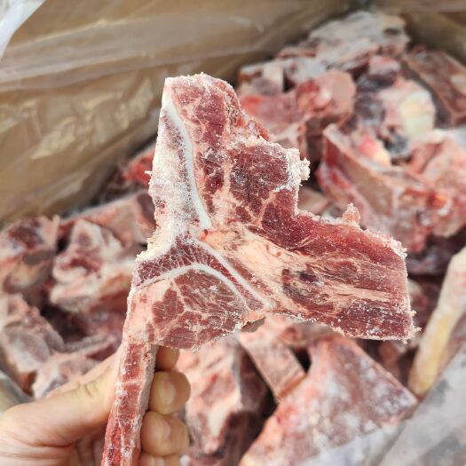 大厂县脊骨段