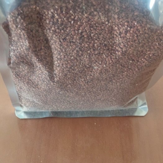 食叶草简介-供应原种食叶草，育种基地供应，指导育苗！
