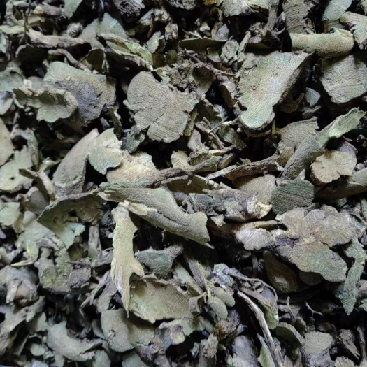 西安香茶菜批发
