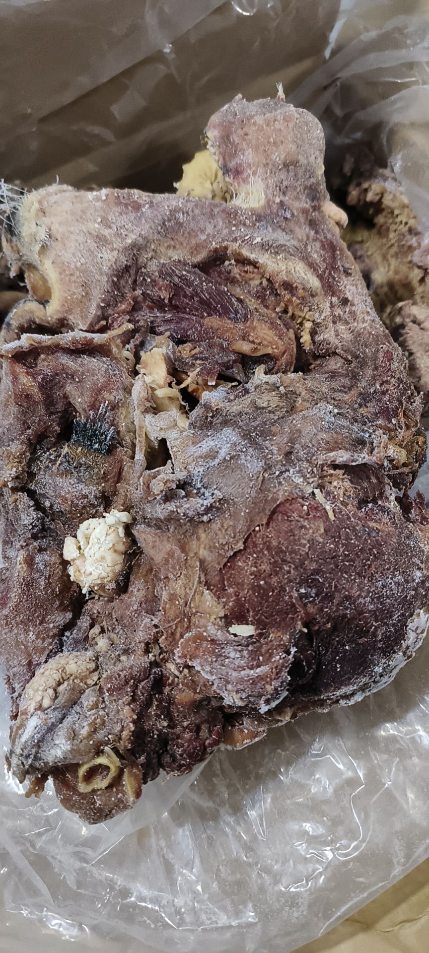 去皮熟牛头肉