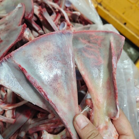 大厂县食用羊骨