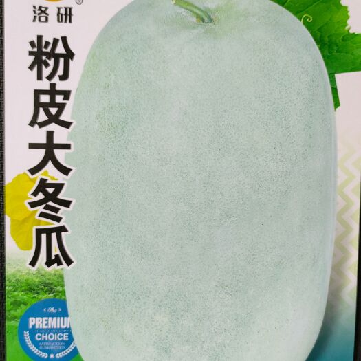 郑州优质粉皮大冬瓜种子果肉厚肉质细密容易坐果分枝力强极耐贮运