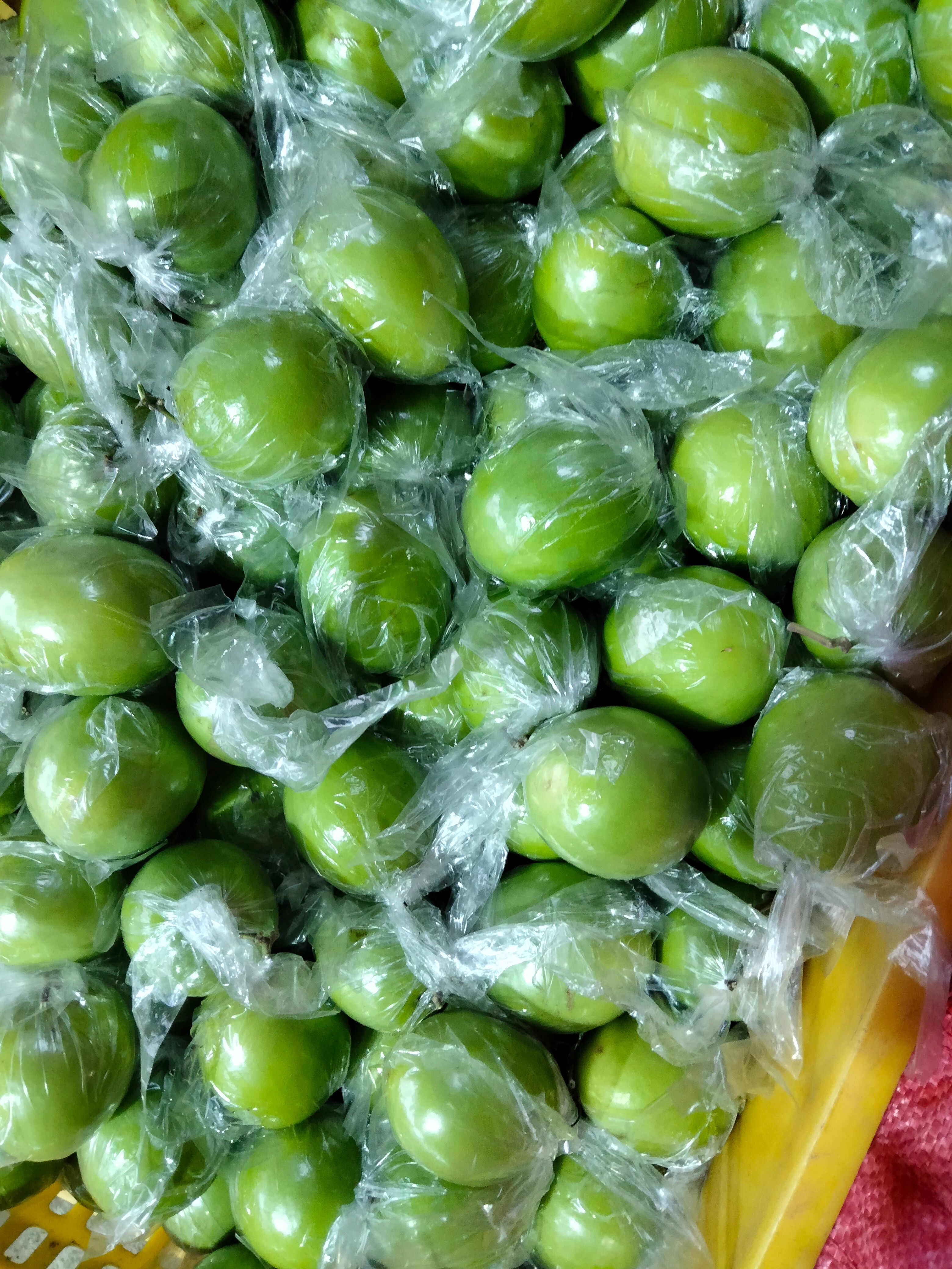 广西壮族自治区贵港市平南县大青枣大量上市，口感清甜，爽口