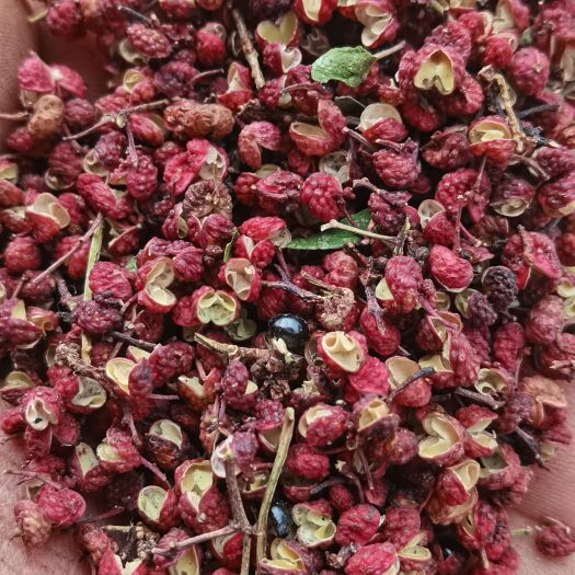 攀枝花干青花椒