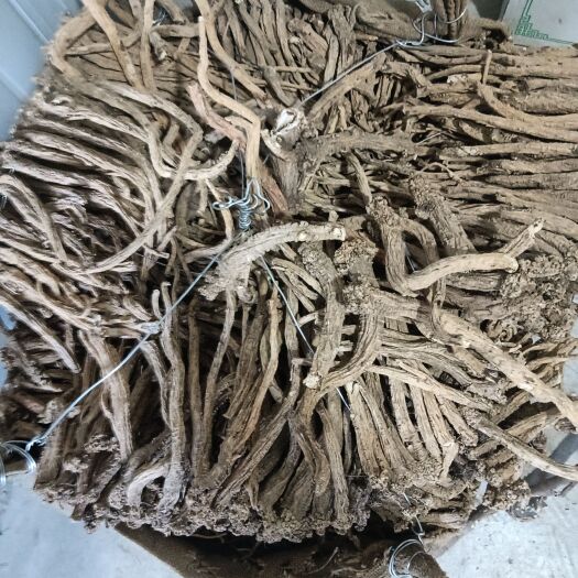 岷县大家好，这是我们甘肃岷县的特产天然老党参。有需要的，