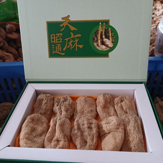 彝良县乌天麻 干天麻，本色，全干，无熏硫，