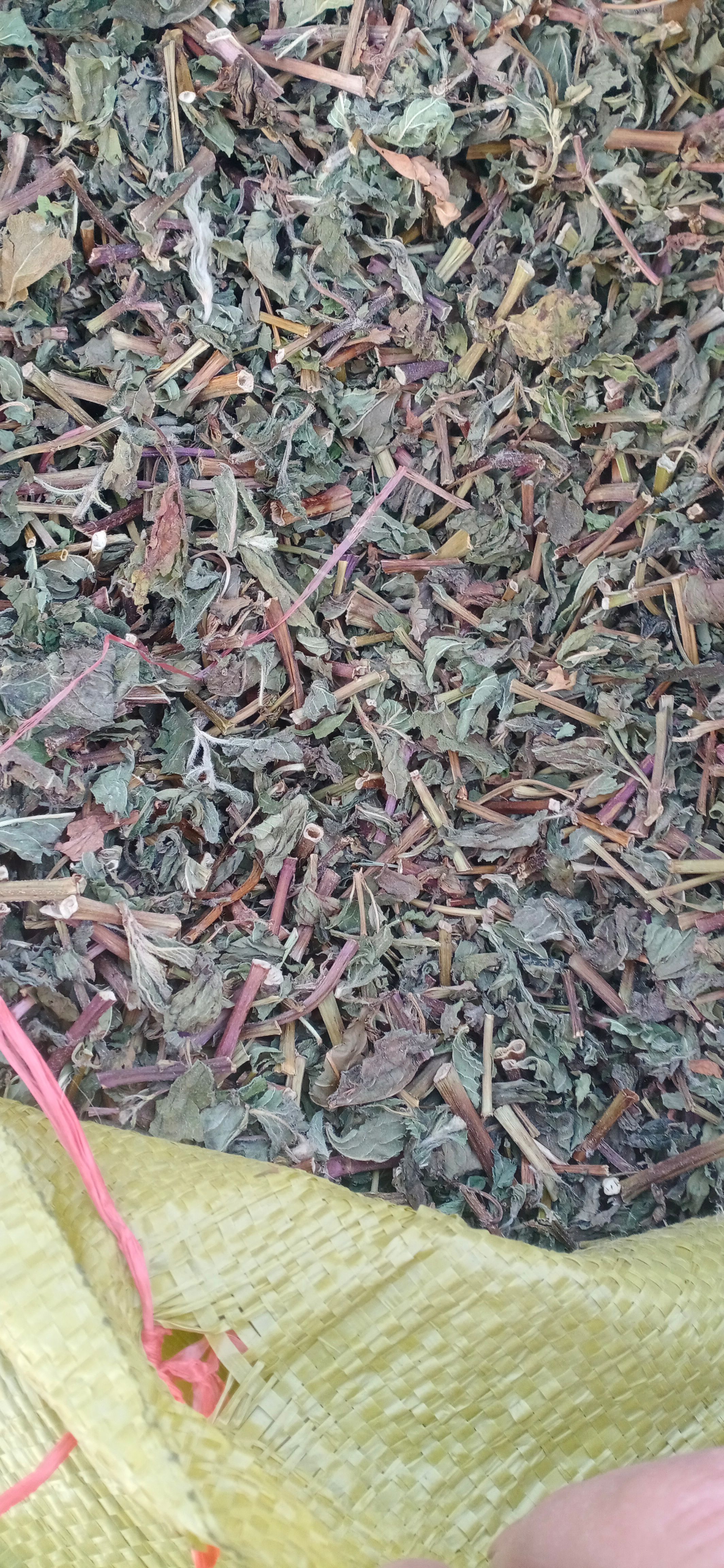 【薄荷】卜合自产自销本地新货无硫大货供应规格齐全量大优惠。