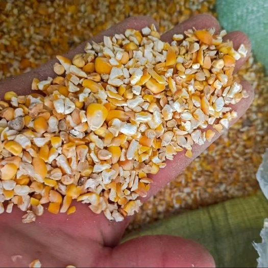 郓城县厂家销售猪牛羊等牲畜专用碎玉米，碎大豆，花生秧颗粒等