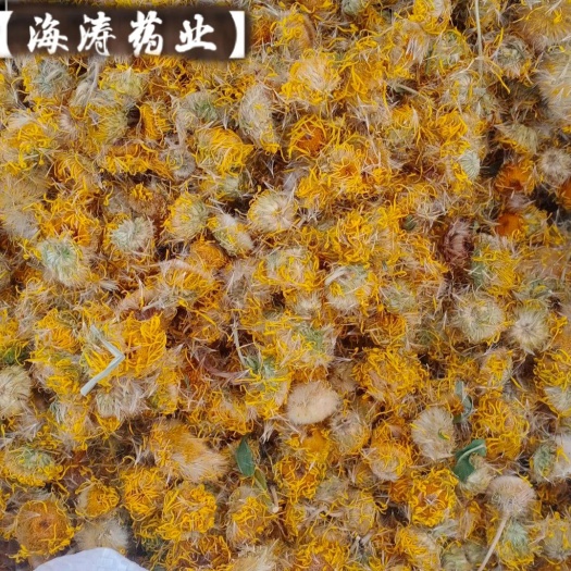 【旋覆花】本地新货无硫一手货源大货供应规格齐全量大优惠。