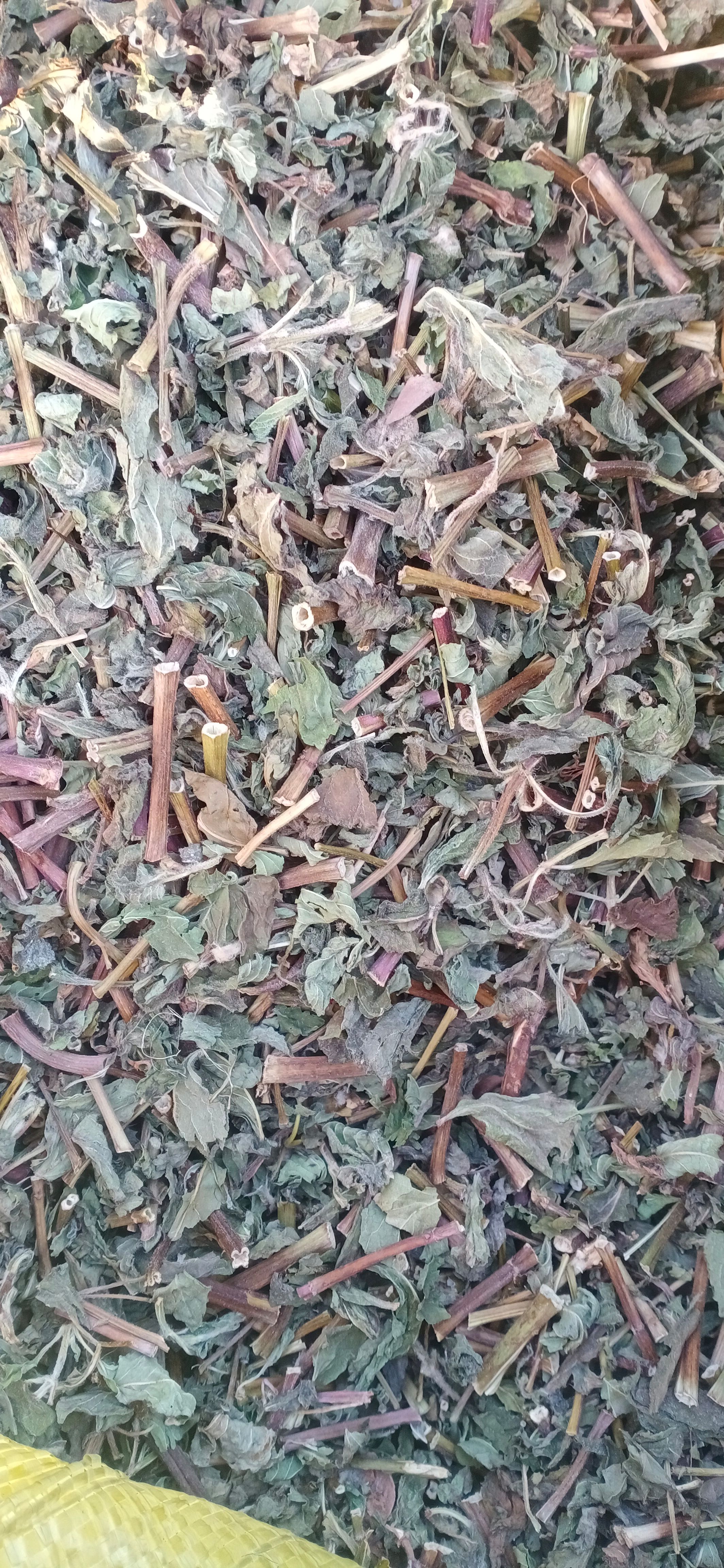 【薄荷】卜合自产自销本地新货无硫大货供应规格齐全量大优惠。