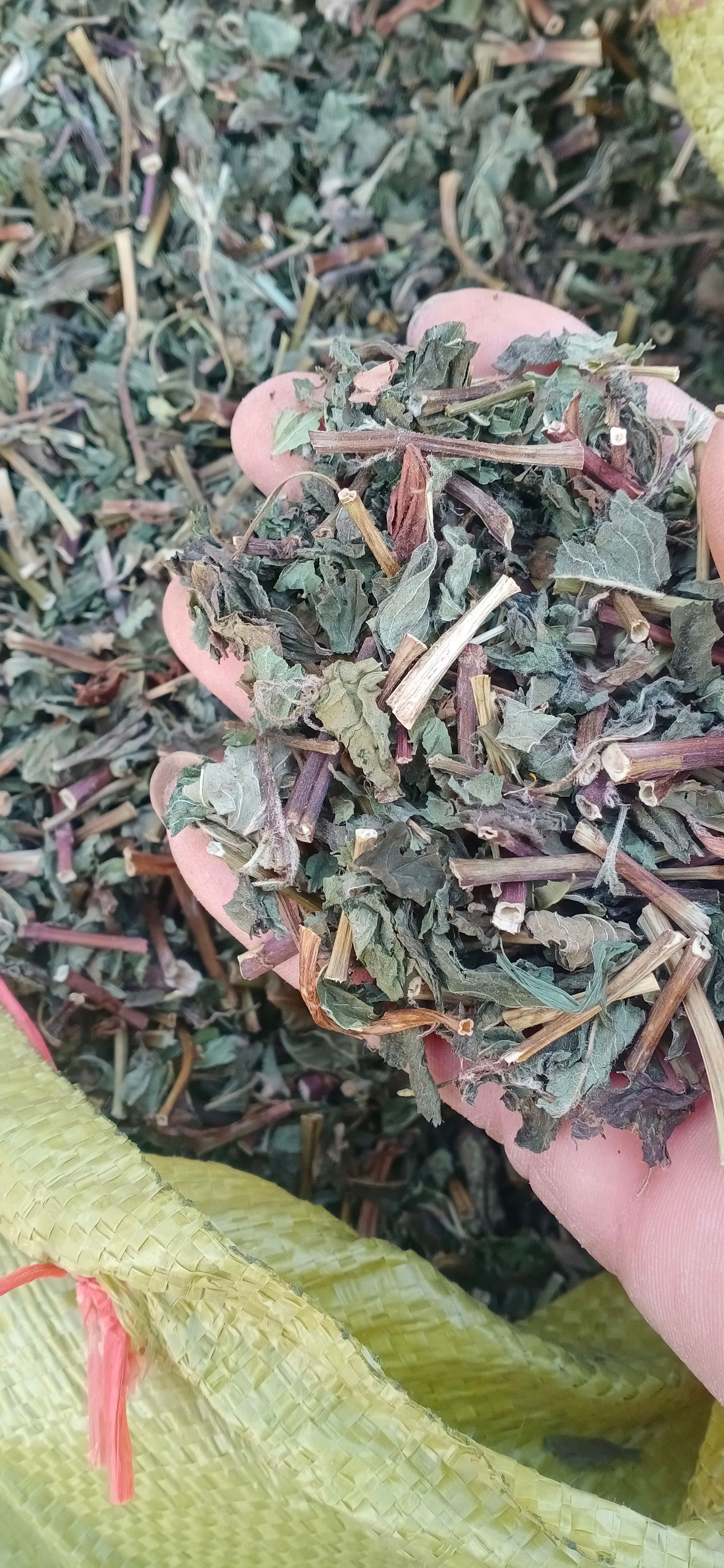 【薄荷】卜合自产自销本地新货无硫大货供应规格齐全量大优惠。