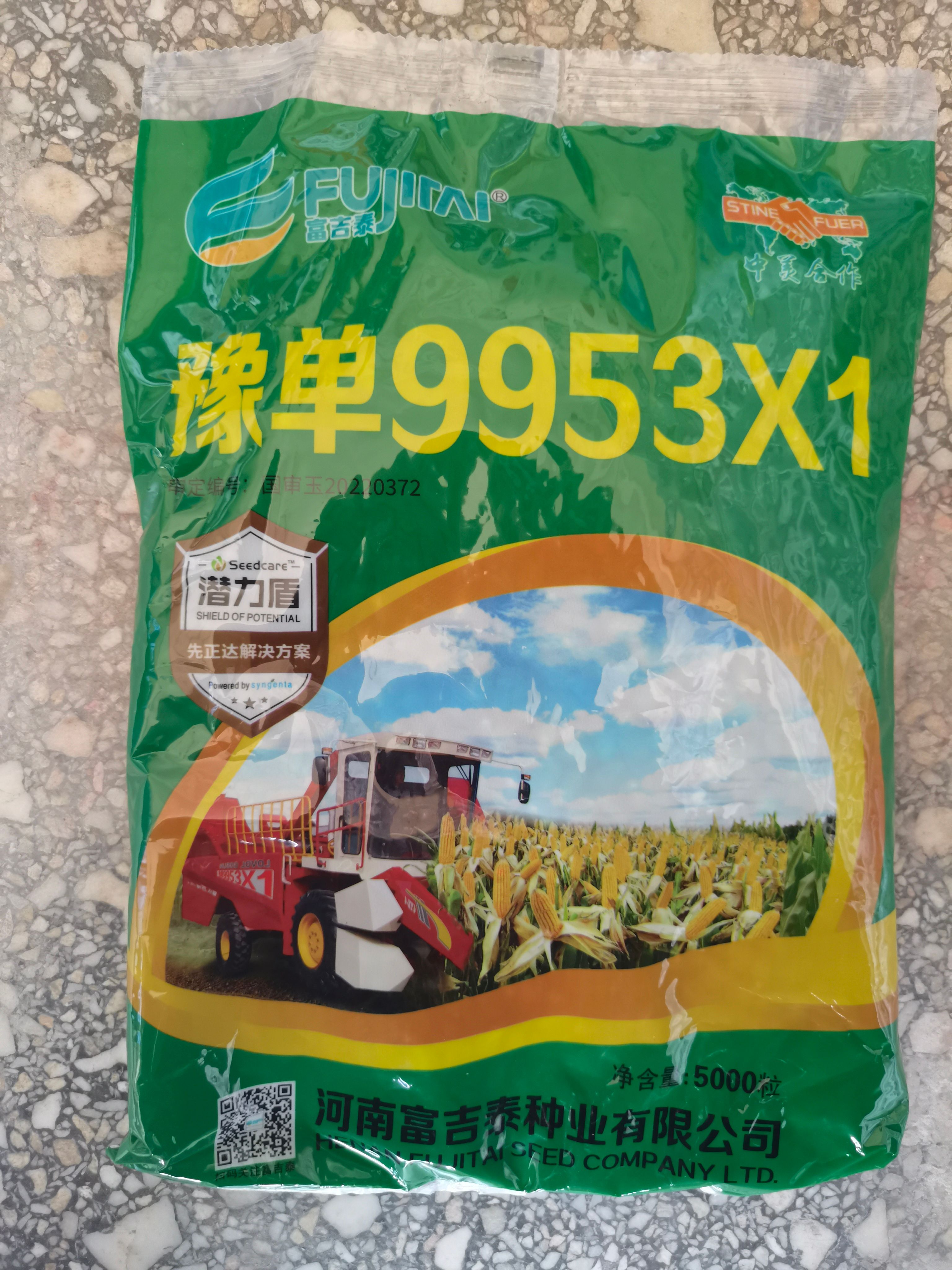 洛阳9953X1高抗锈病抗高温新型大豆玉米间作技术的再创新高