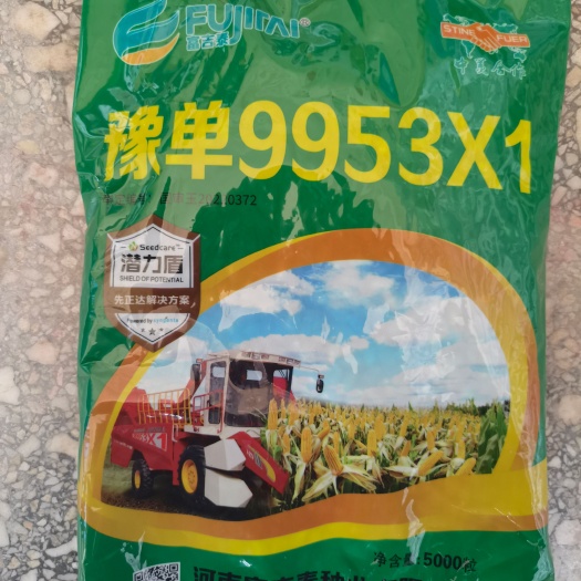 洛阳9953X1高抗锈病抗高温新型大豆玉米间作技术的再创新高