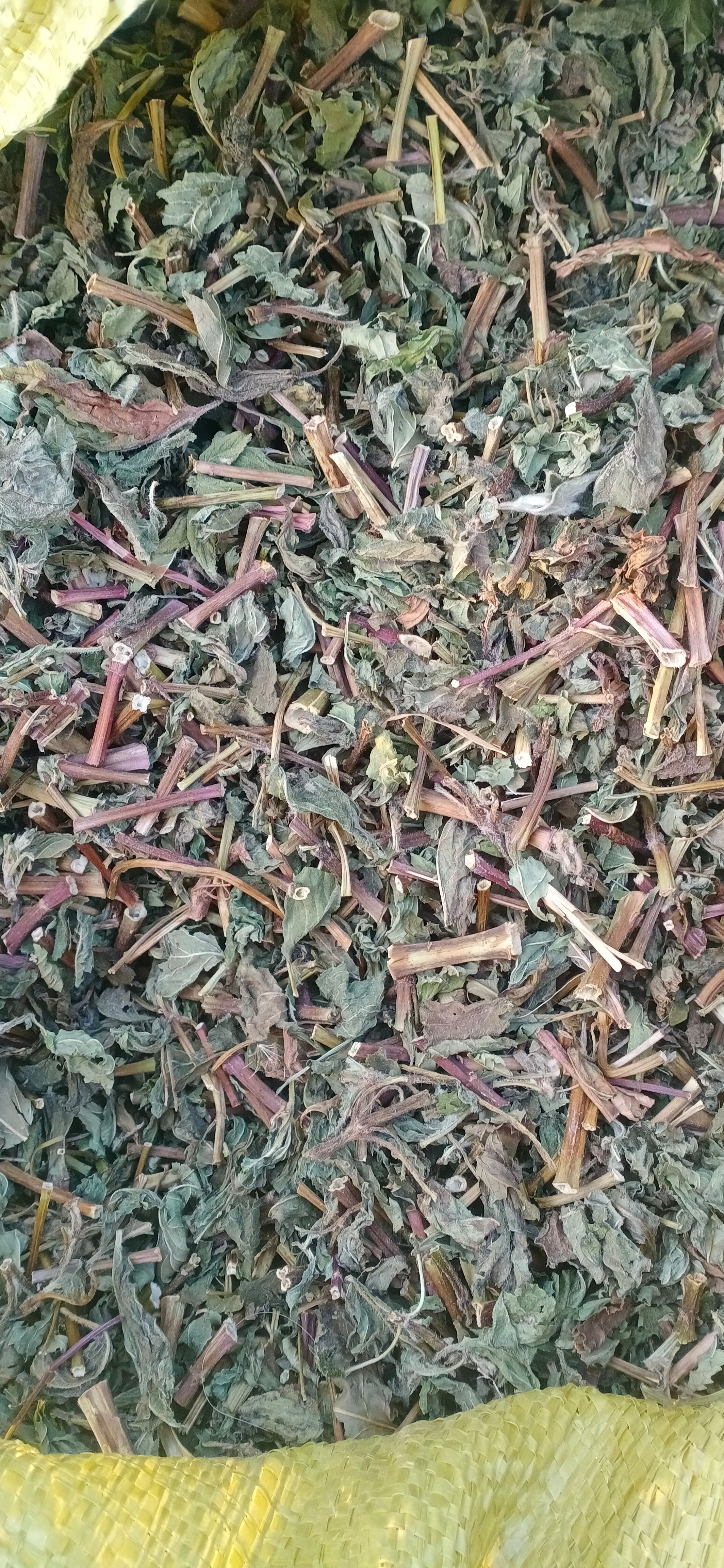 【薄荷】卜合自产自销本地新货无硫大货供应规格齐全量大优惠。