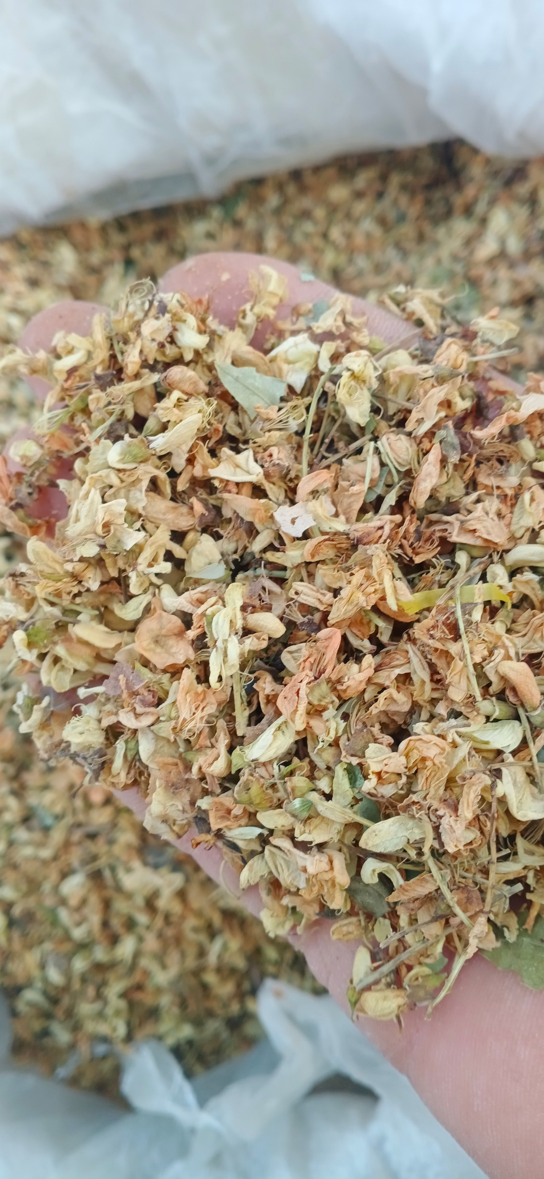 【槐米】【槐花】本地新貨無硫?qū)嵨锱臄z道地藥材一手貨源大貨供應