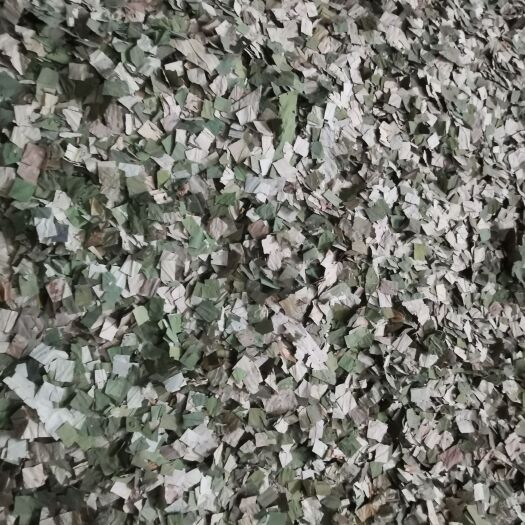 鱼台县方块荷叶