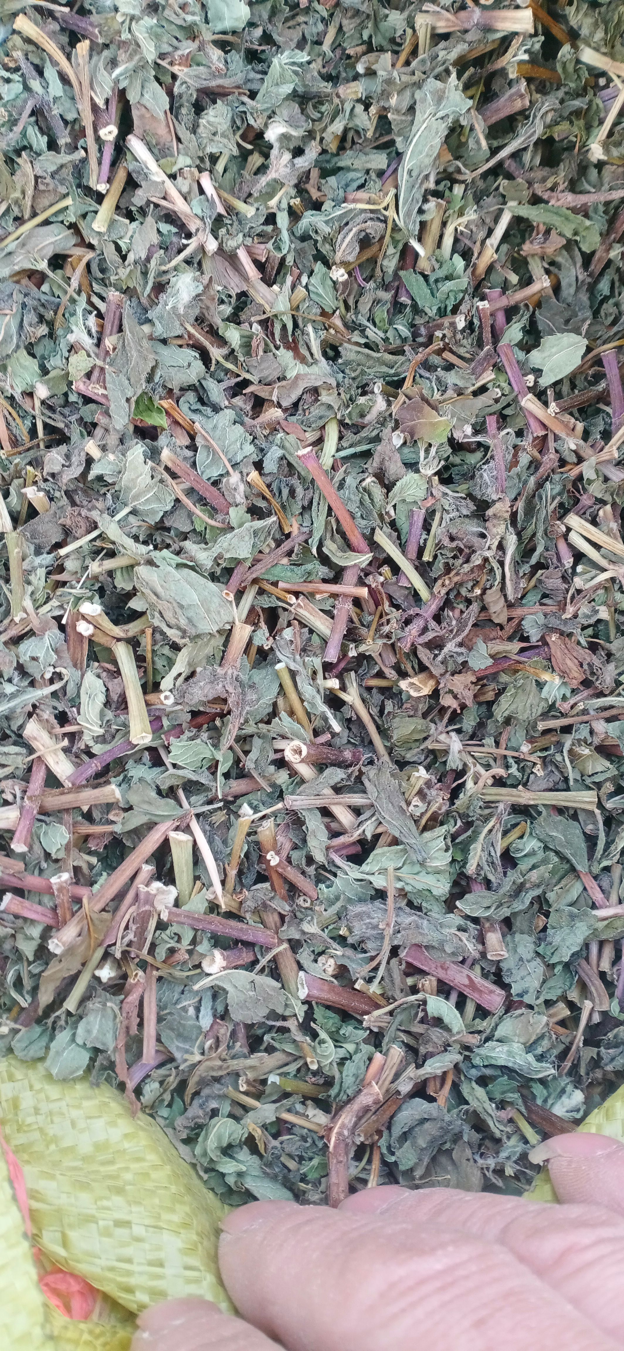【薄荷】卜合自产自销本地新货无硫大货供应规格齐全量大优惠。