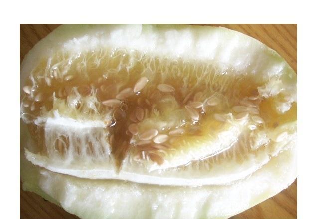 青州弥河火银瓜甜脆多汁，瓜肉白嫩，皮薄嚼无余渣