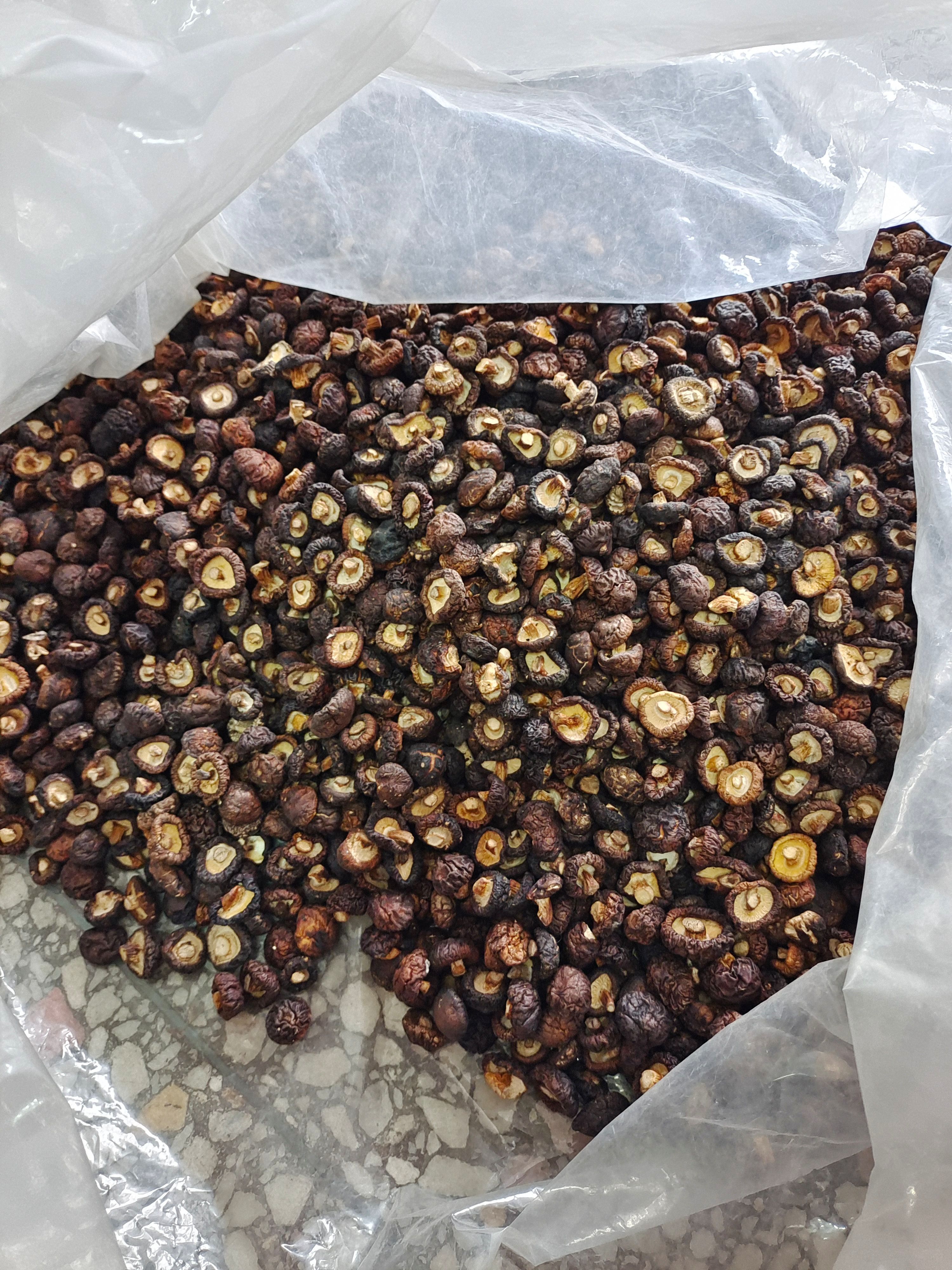 干香菇小香菇迷你小菇农家手工挑选香味持久