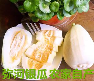 青州弥河火银瓜甜脆多汁，瓜肉白嫩，皮薄嚼无余渣