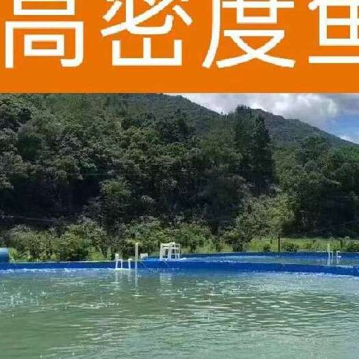 沭阳县刀刮布蚂蝗镀锌板帆布鱼池，源头厂家。