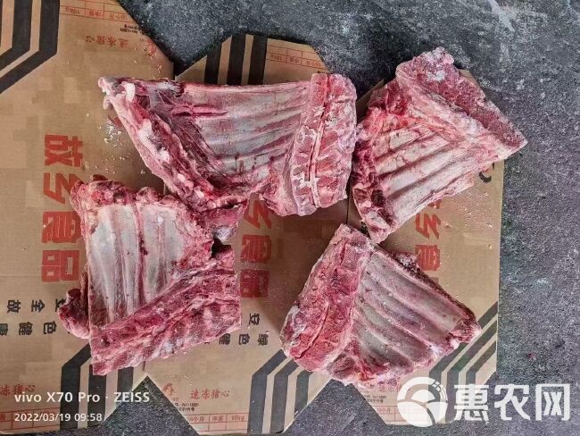 猪排骨  无颈前排  厂家直销一手货源 全国发货