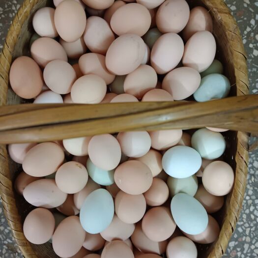 武汉鸡蛋土鸡蛋绿壳蛋