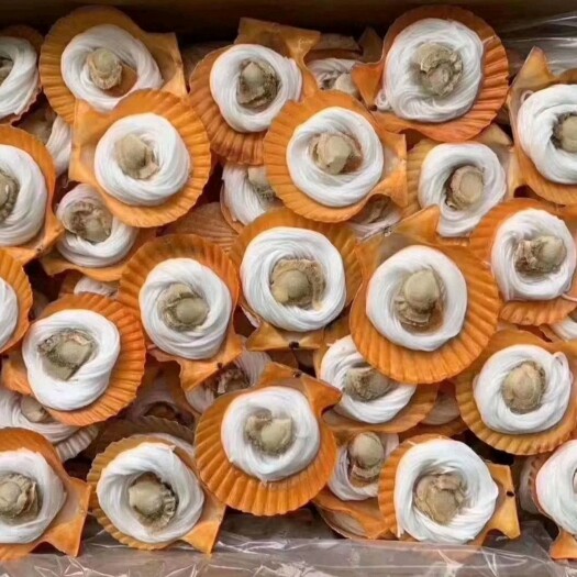 北海 黄金贝  黄金粉丝扇贝  干净无沙 烧烤清蒸