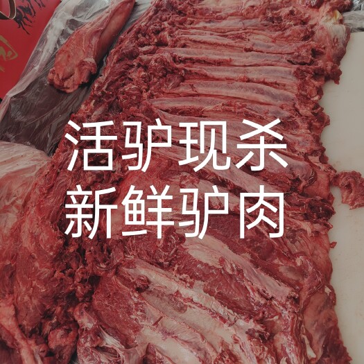 大连毛驴养殖活驴现宰