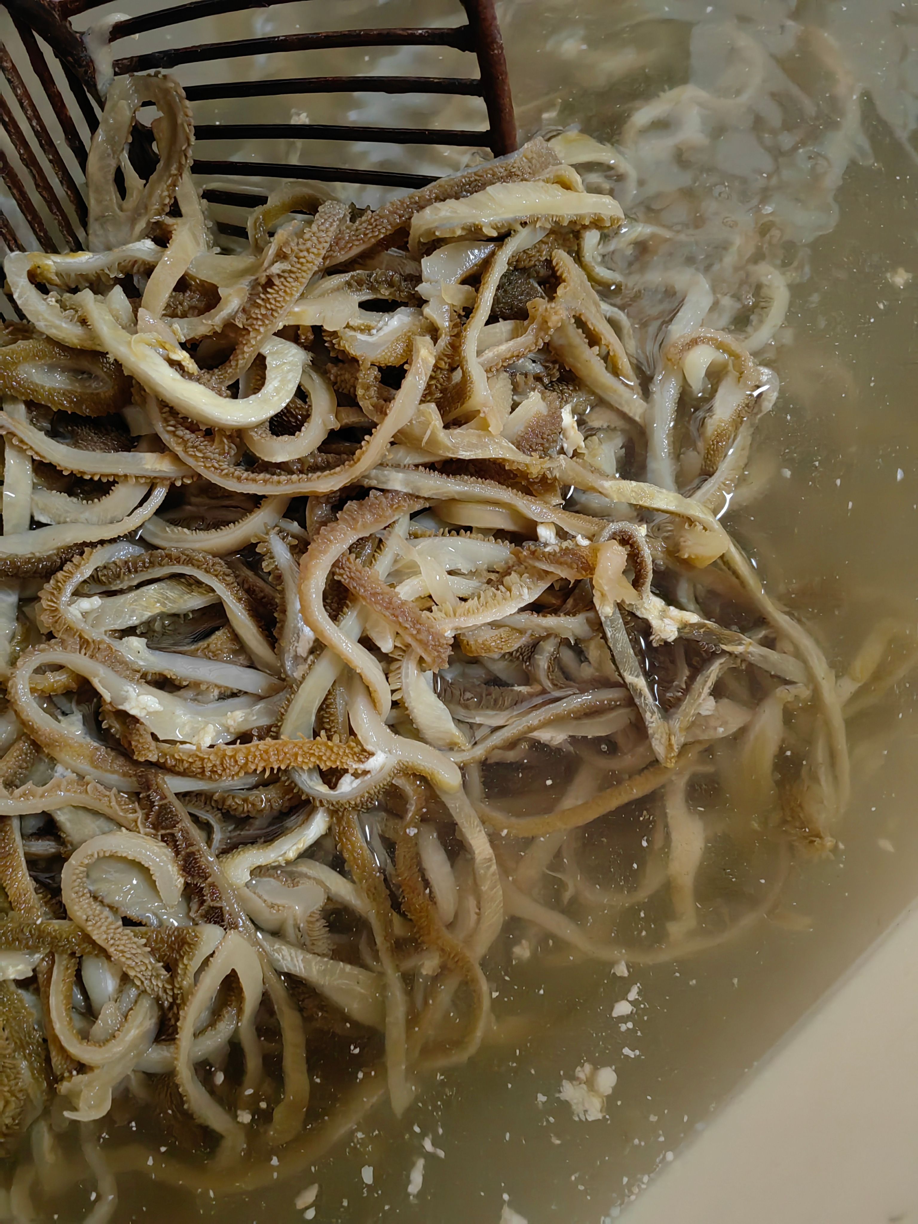 羊肚丝 水发绵羊肚 火锅食材 新鲜羊杂涮羊肚丝丝羊杂商用冒菜