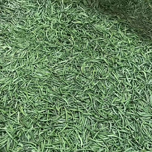 峨眉山市峨眉山绿茶，金针小龙芽