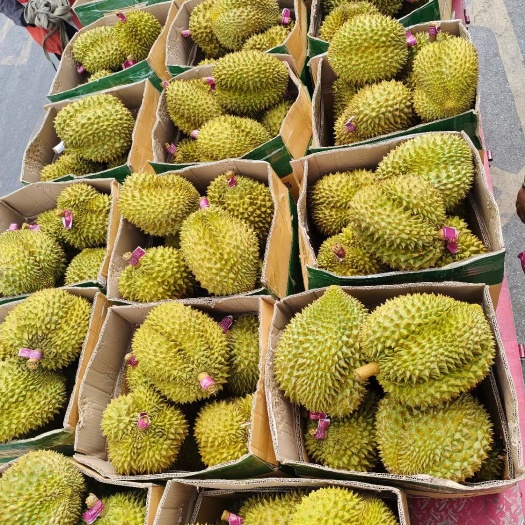 瑞丽市品质好