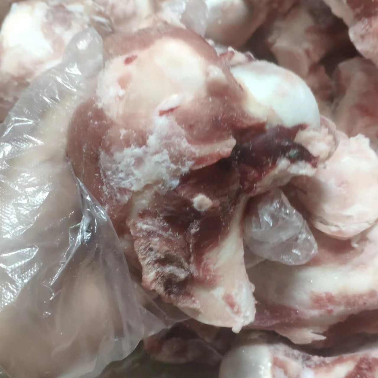 06前腿骨 猪腿骨 棒骨大骨头