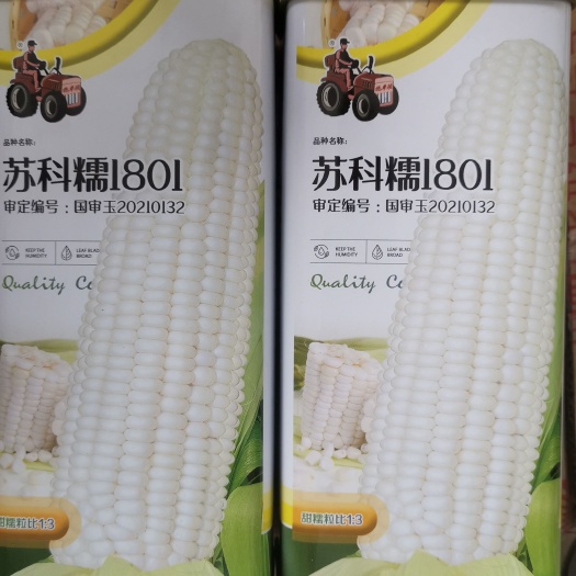 成都苏科糯1801 1801