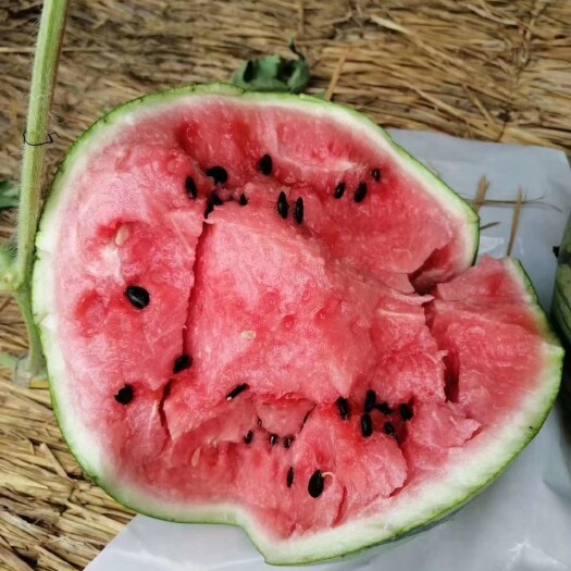 雷州市广东麒麟西瓜，质量保证，诚信经营，产地直供，对接各大电超市场