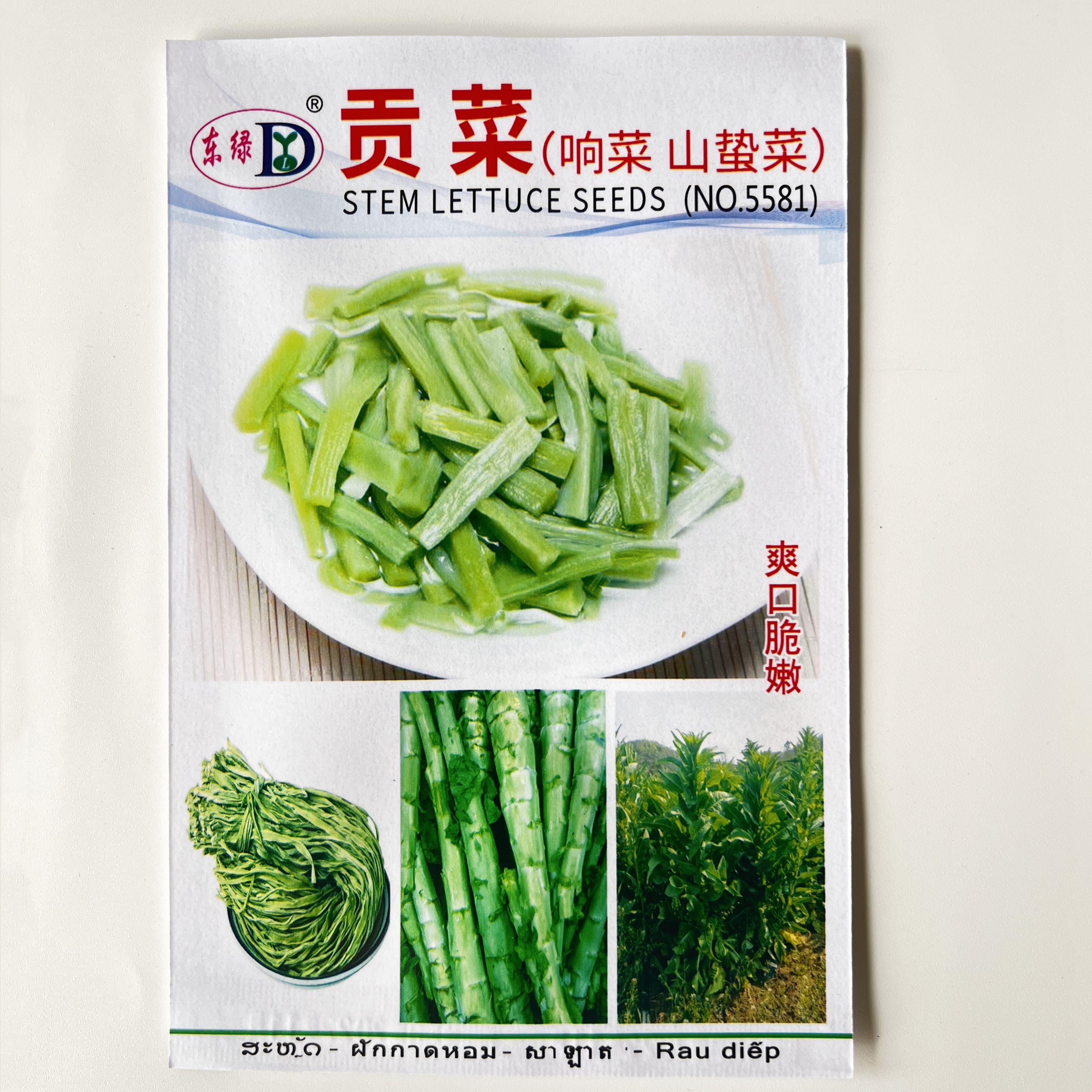 沭阳县贡菜种子苔干种子苔菜种子响菜山蛰菜山哲菜蔬菜种子种植包邮