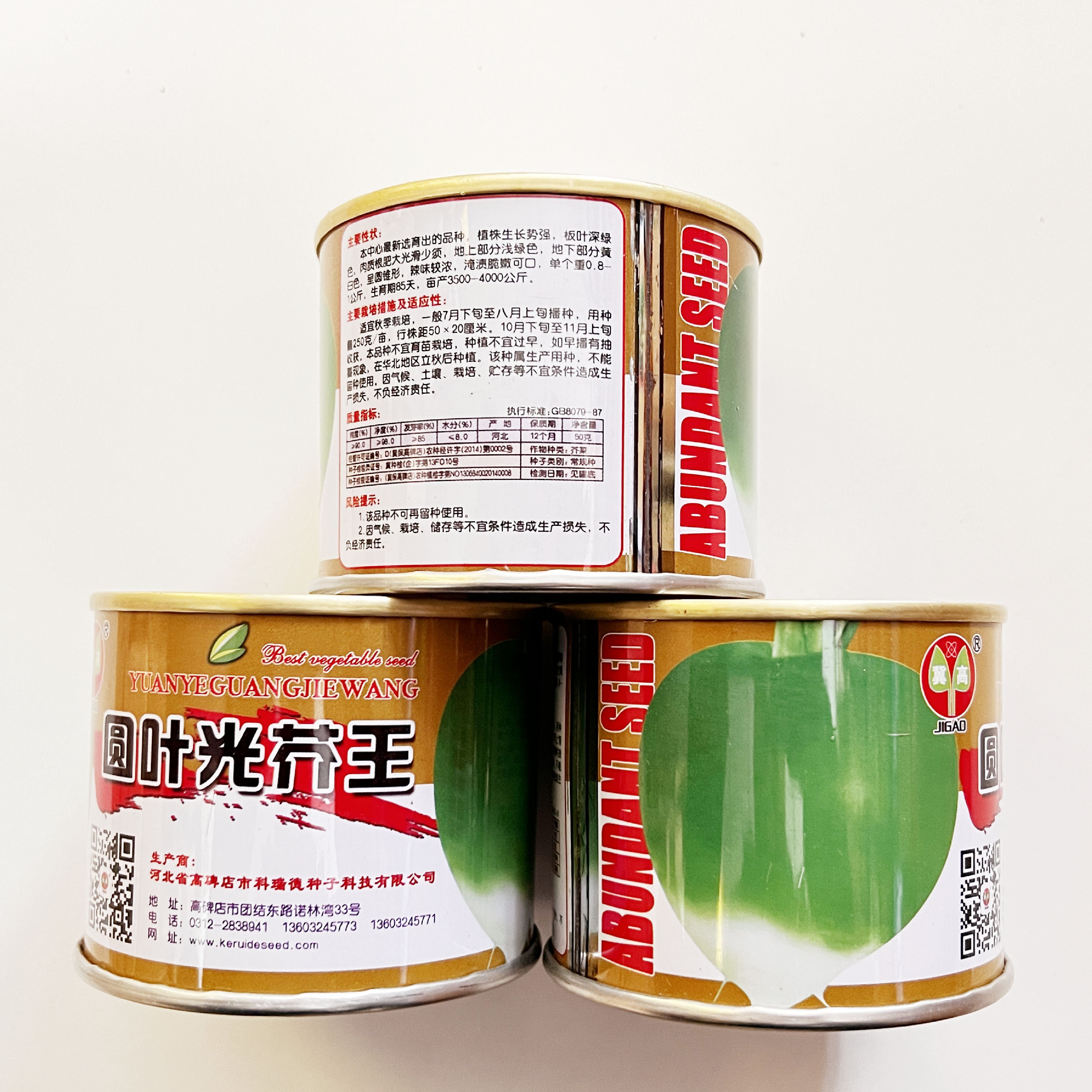 沭阳县温州盘菜种子浙江大盘菜种籽四季秋冬季萝卜生吃芥菜菜籽蔬菜种孑