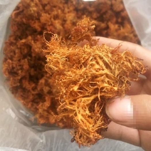 大理市云南野生树树花菜批发