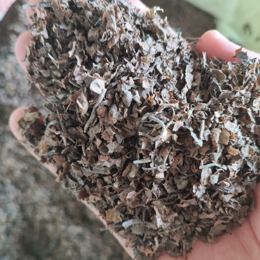  印尼马尾藻货源方 干藻 原菜 粗粉