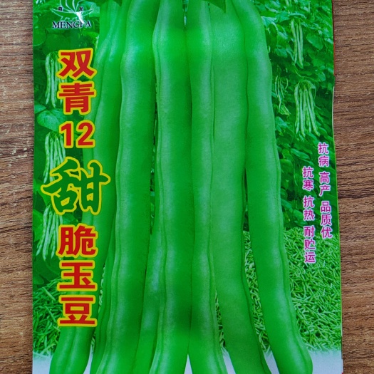 南宁红花四季豆，一年四季皆可种植，甜脆，产量高