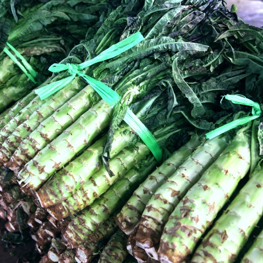 昆明一颗露天香笋的力量（基地现摘现发）